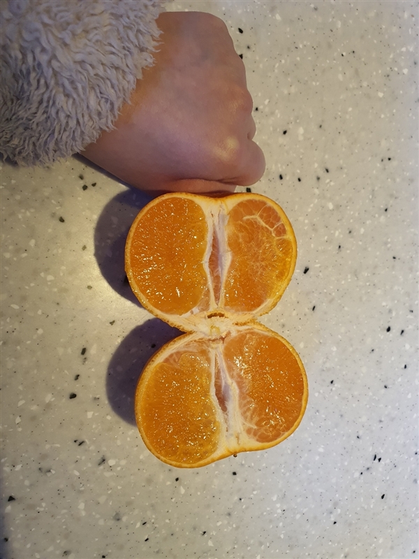 e9c0974f5e114803afcae2640fc8b3e5.jpg